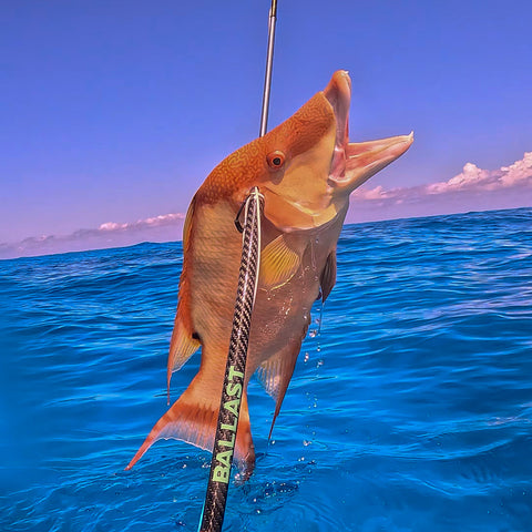 Scuba Choice Hybrid Hawaiian Spearfishing Sling Travel with 3 Piece Pole Spear and Single Flopper, 9